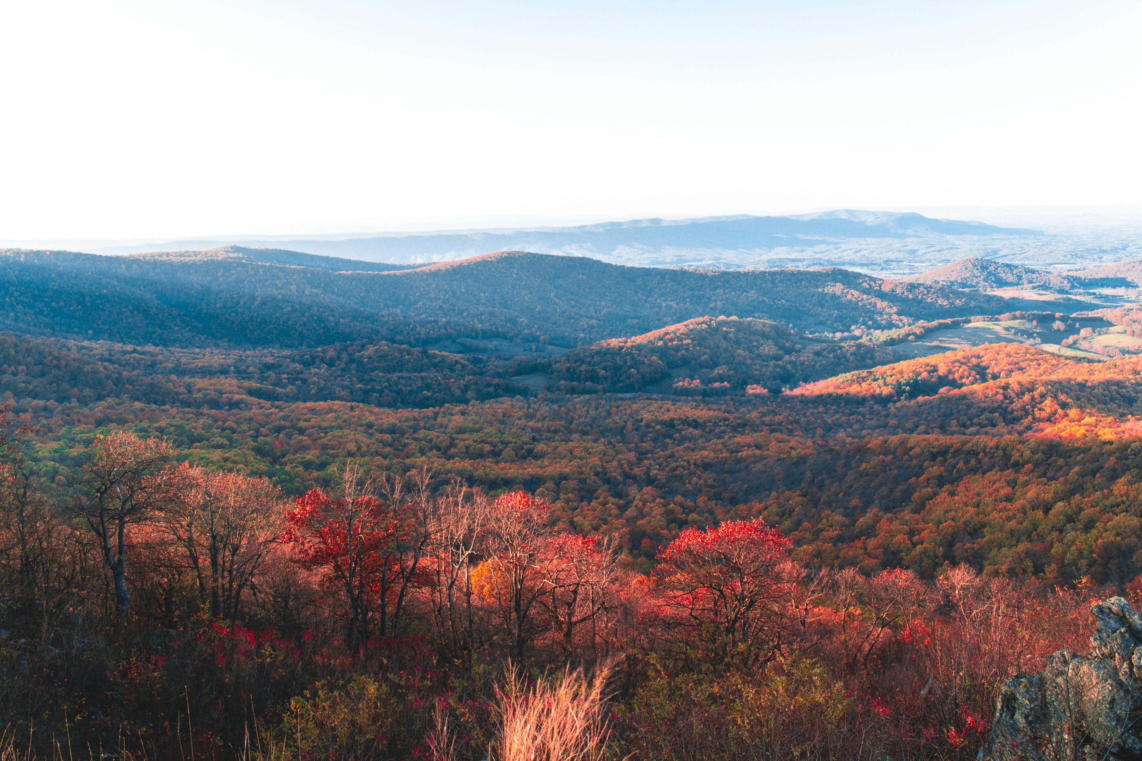 Financial Services DevOps and Cloud Infrastructure