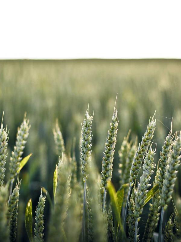 team planning on whiteboard